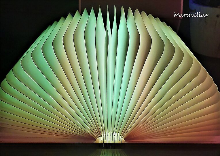 EL LIBRO DE LA LUZ
