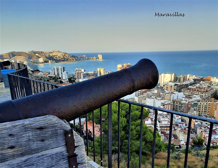 MATAR MOSCAS A CAÑONAZOS