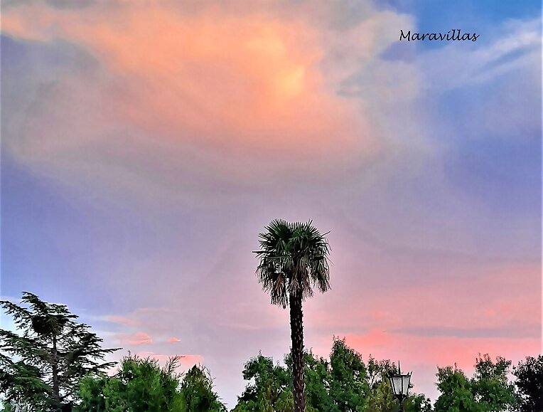 CREPÚSCULO  OTOÑAL