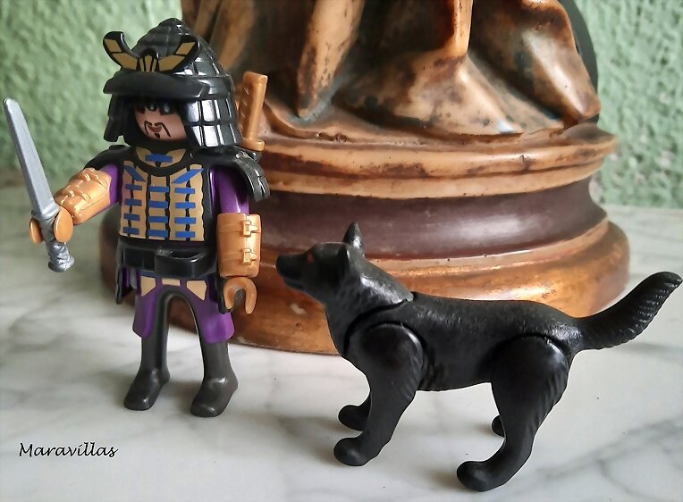 GASTOS HORMIGA/GASTOS DE LOBO