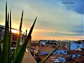 AMANECER EN LA CIUDAD