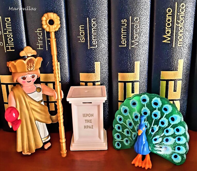 ESTANTERÍAS DE LIBROS