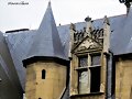 VACUNARSE EN LA CASA DE DR&Aacute;CULA