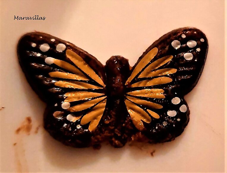 CLASIFICANDO MARIPOSAS
