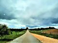 HUYENDO Y HACIENDO CAMINO