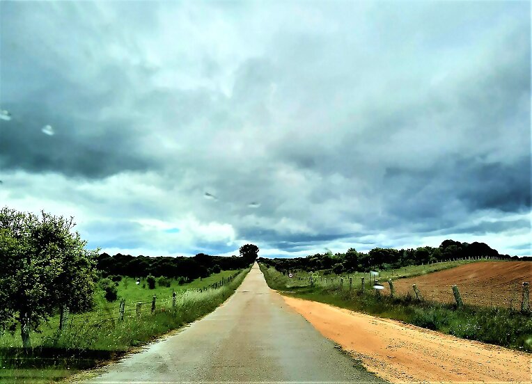 HUYENDO Y HACIENDO CAMINO