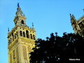 ESPA&Ntilde;A ES IRRESISTIBLE