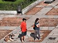 CONTRA LOS RELOJES