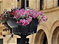 EL BOOM DE LAS FLORES