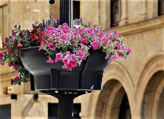 EL BOOM DE LAS FLORES