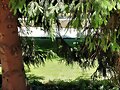 &Aacute;RBOLES CON NOMBRE