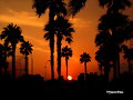 UNA PUESTA DE SOL PARA CADA UNO