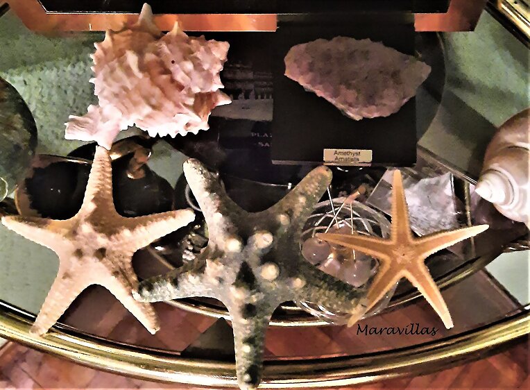 ESTRELLAS EN LA ARENA