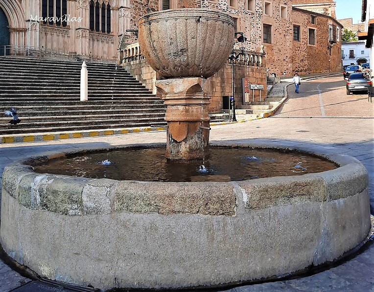 FUENTES DE GUADALUPE 1