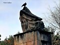 EN LA INOPIA