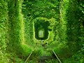 T&Uacute;NEL DEL AMOR