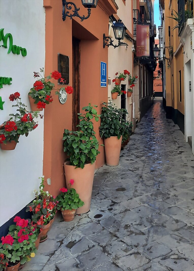 CALLE ESTRECHA