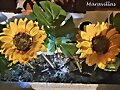 GIRASOLES