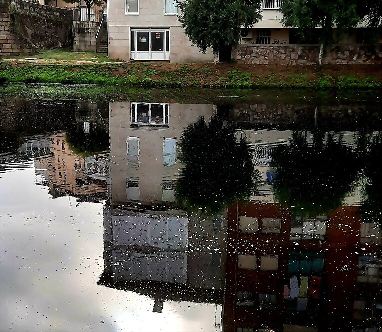 Reflejos en el agua