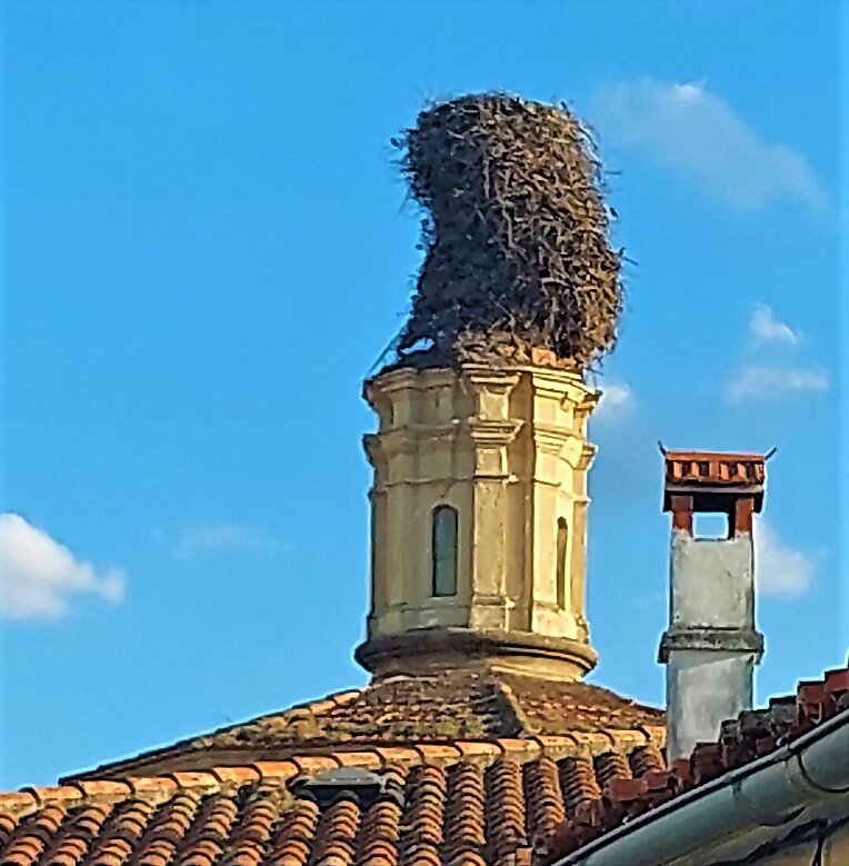 NIDOS DE CIGÜEÑAS