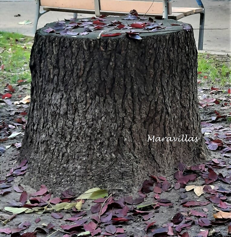 EMPEZAR EL DÍA