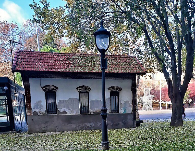 LO POSITIVO DEL INVIERNO