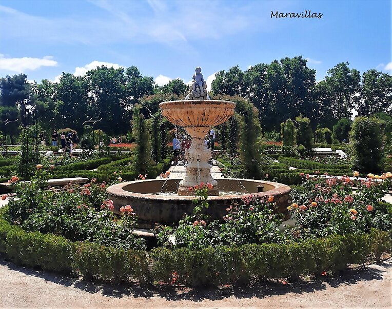 LA ROSALEDA DEL RETIRO