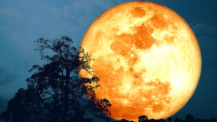 LUNA DEL CIERVO