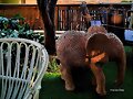 NO PIENSES EN UN ELEFANTE
