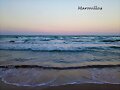 OLAS DEL MAR