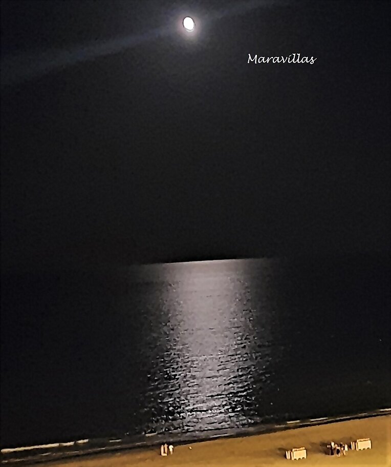 LA LUNA, ESA TESTIGO