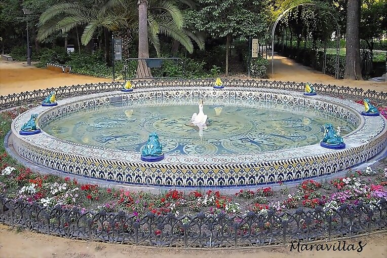 SALIERON RANAS