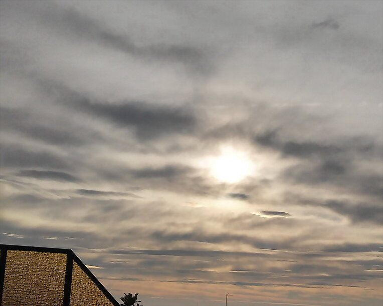 COMO CAÍDO DEL CIELO