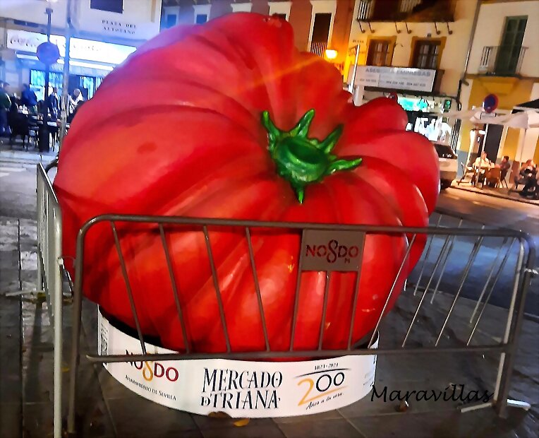 FRUTAS Y VERDURAS