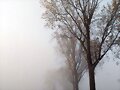 PAISAJES DE OTO&Ntilde;O