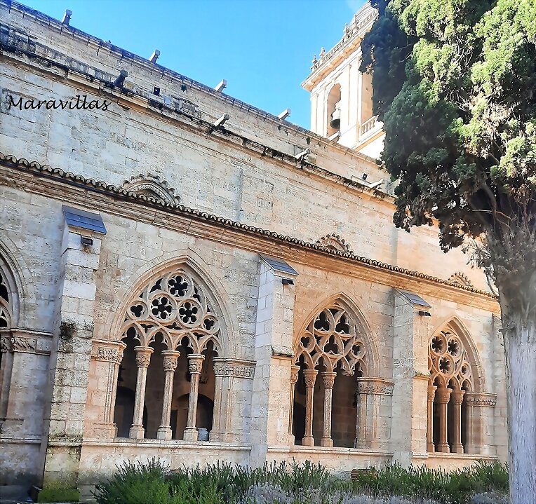 CLAUSTRO DE LA CATEDRAL