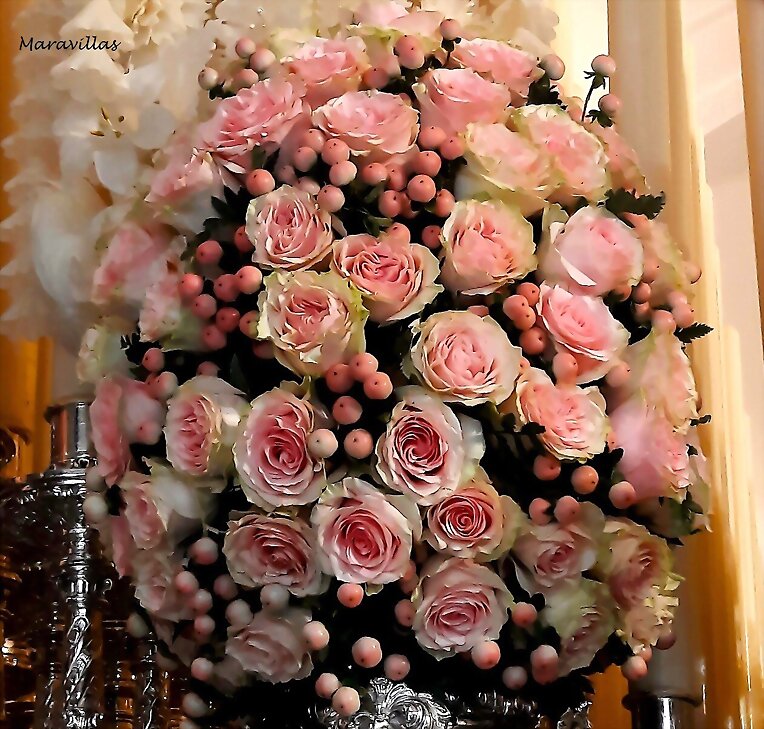 BELLEZA DIARIA