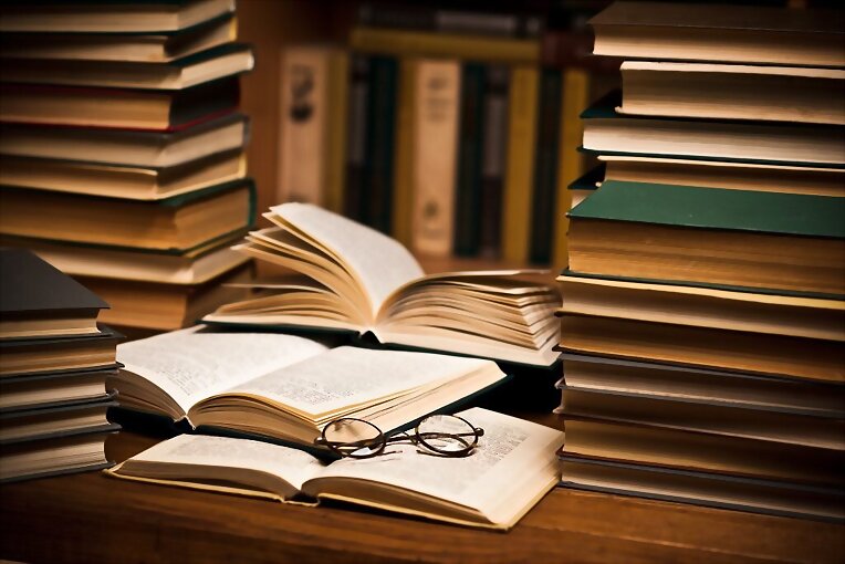 LA DOCUMENTACIÓN EN LA NOVELA