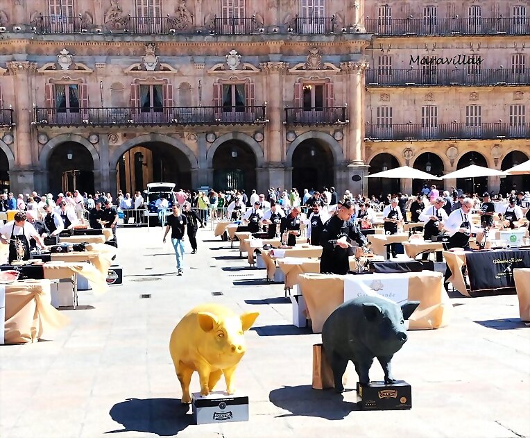 CORTADORES DE JAMÓN