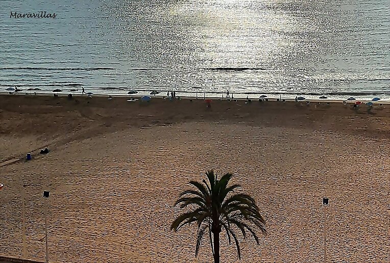 DESCALZOS POR LA PLAYA