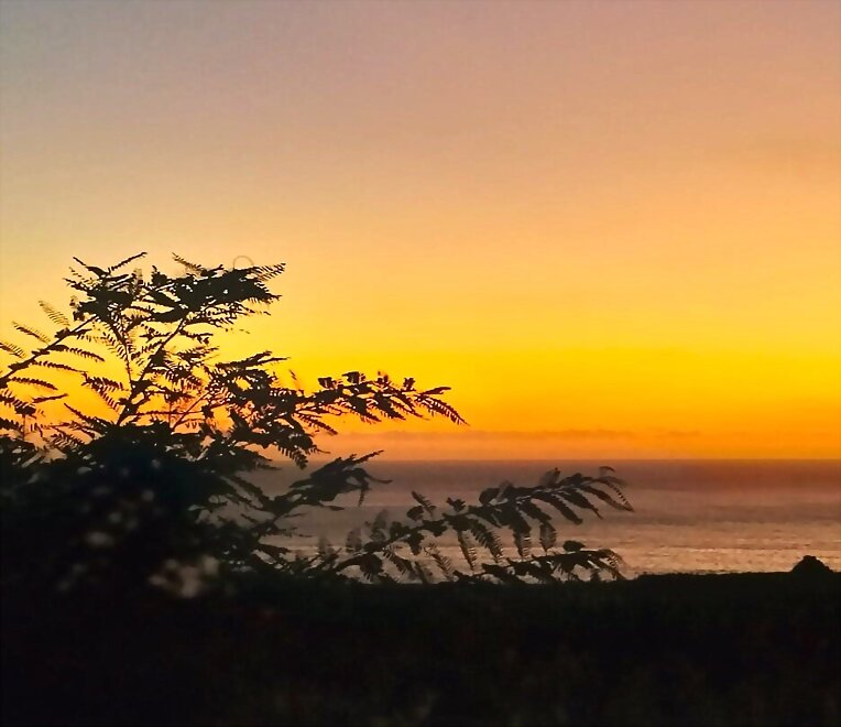 LA ISLA DE LA MUJER PERDIDA