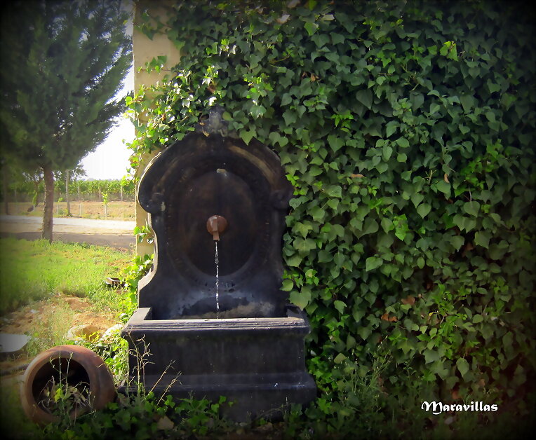 EL AGUA DESBOCADA
