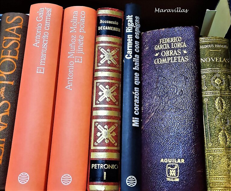 INCAPACIDAD DE LEER