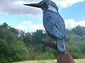 P&Aacute;JAROS QUE ATACAN