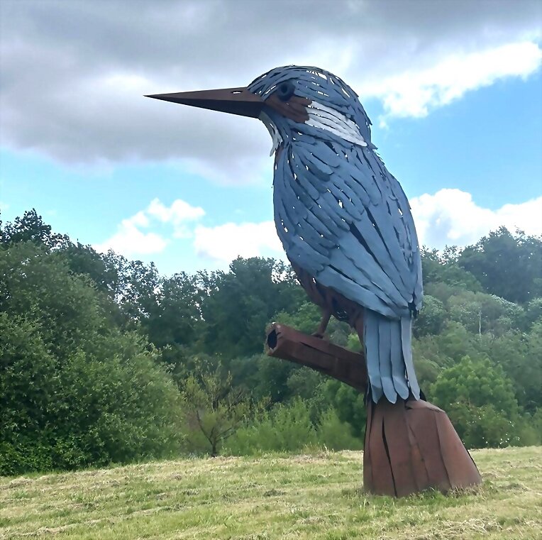 PÁJAROS QUE ATACAN