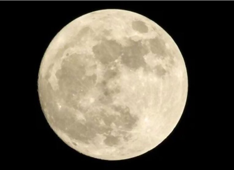 LUNA DEL CIERVO