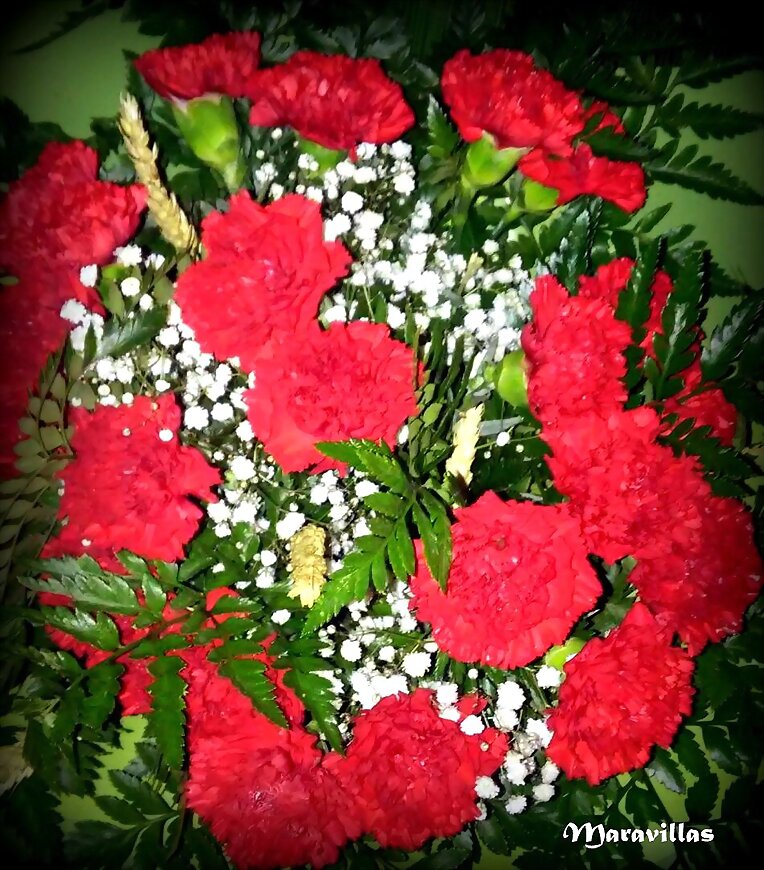 FLORES DE PLÁSTICO