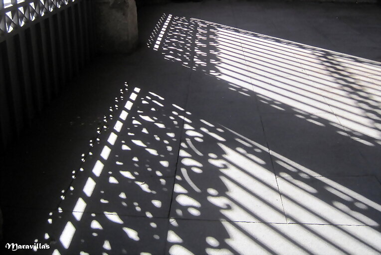 SEGUIR LA SOMBRA