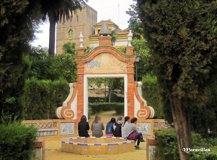 LAS COMPARACIONES SON ODIOSAS
