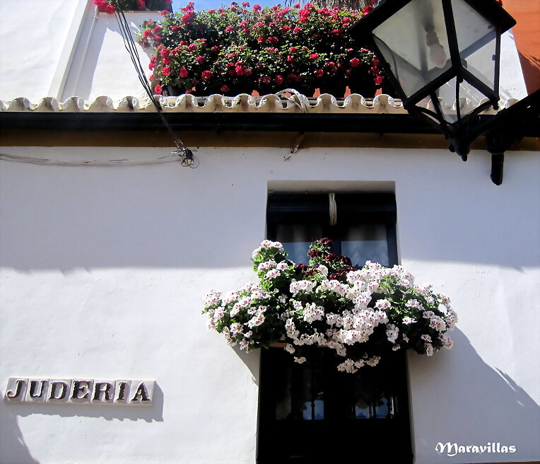 BALCONES FLORIDOS